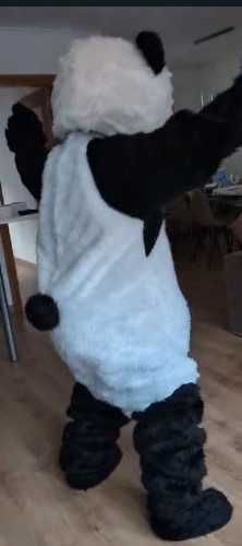Alugo fato mascote Panda (muito idêntico ao do Panda e os Caricas)