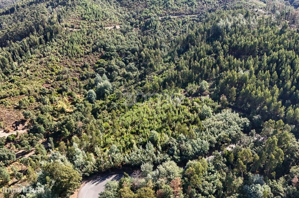 Terreno em Folques, Arganil