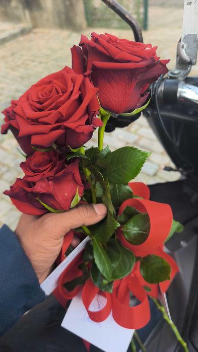 I have red rose dilvery free in aviero