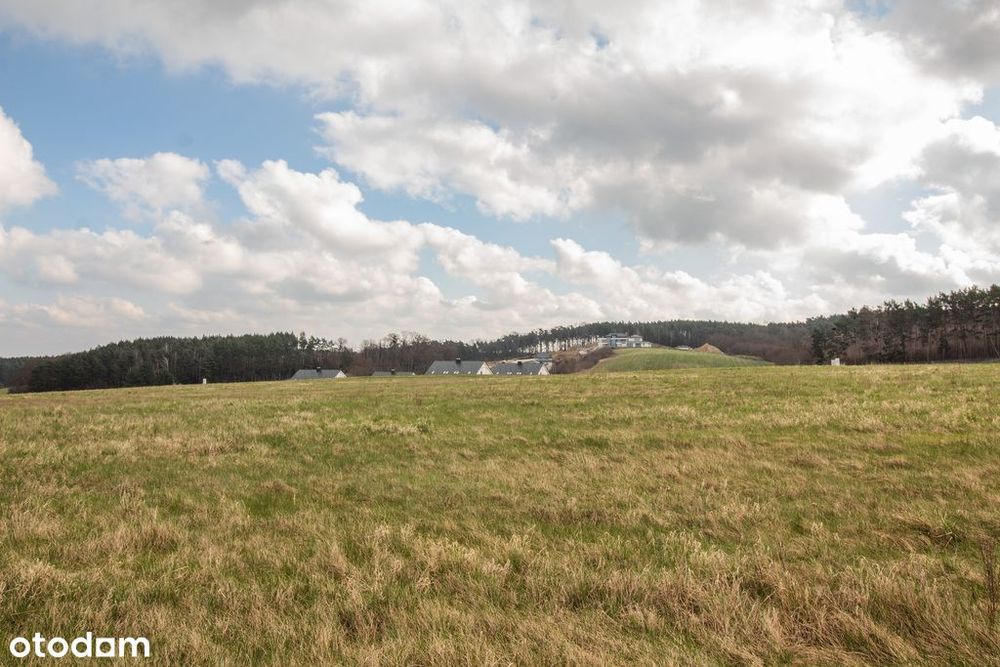 Przytok: 1275m2 pod dom. Media na działce