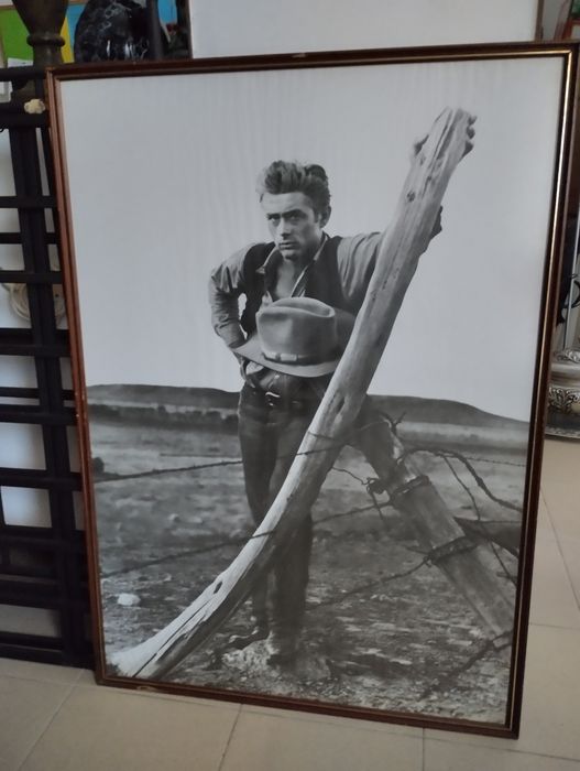 Vendo pôster muldurado gigantes