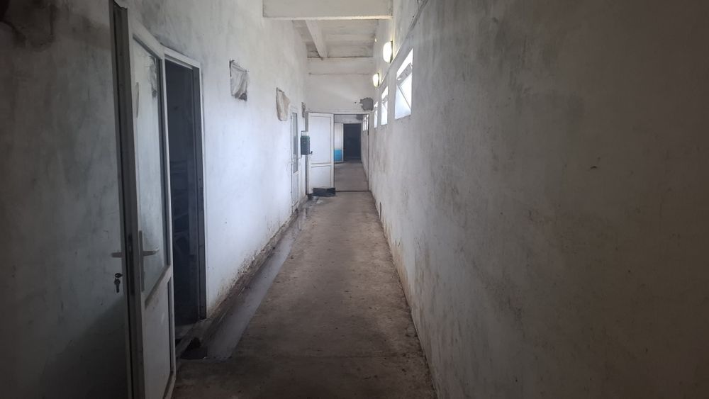 Продам  діючу ферму