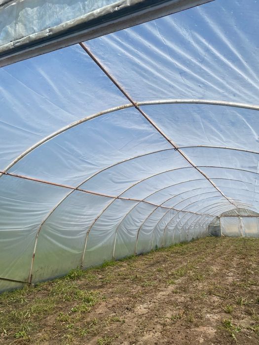 Tunel foliowy konstrukcja 32x7m