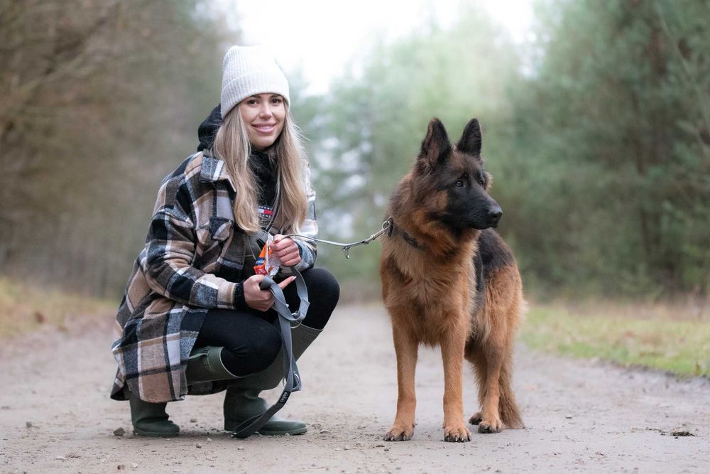 Campabella: owczarkowa piękność