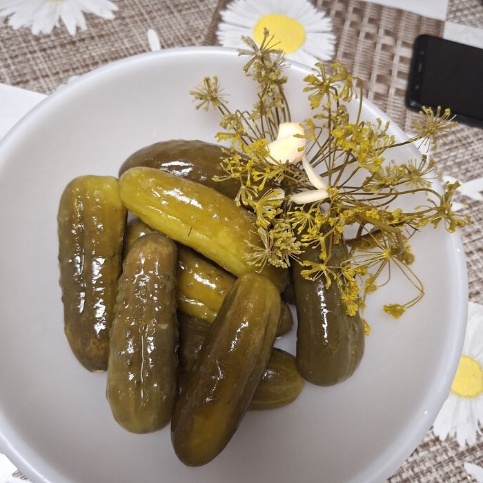 Ekologiczne ogórki kiszone w bańce 5L