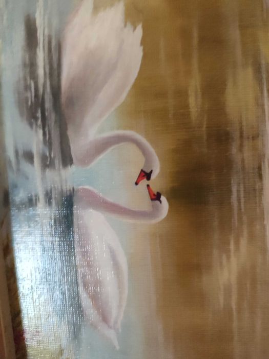 Картинка лебеди на озере