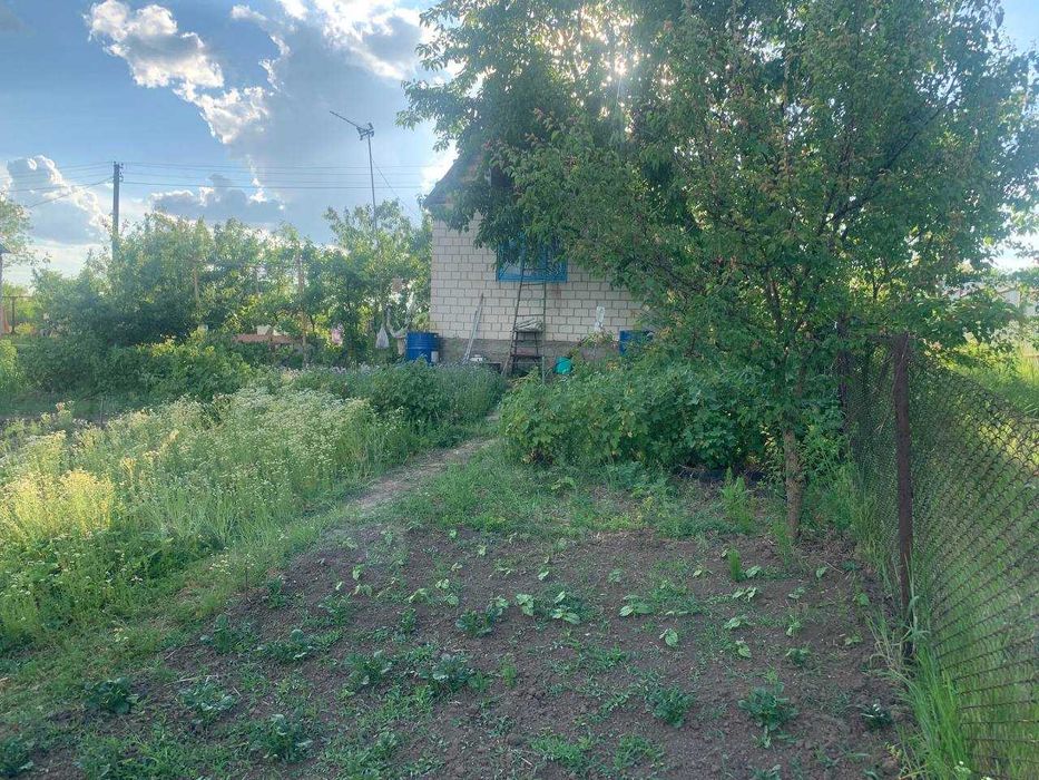 Дачка неподалік Білої Церкви .Ділянка приватизована.