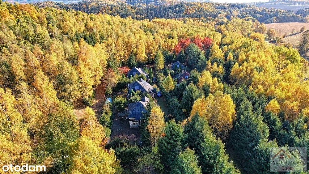 Wyjątkowa nieruchomość - 7600 m2 + 5 domków