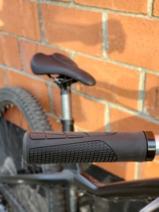 Dartmoor hornet pro 2025