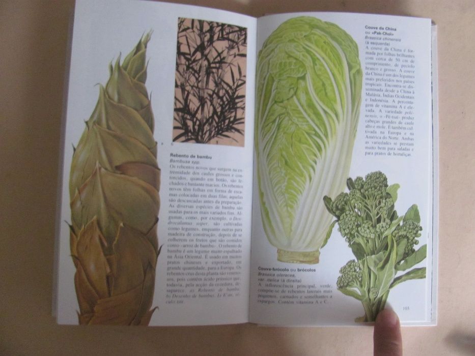 Frutos e Vegetais - Mediterrâneo e Trópicos