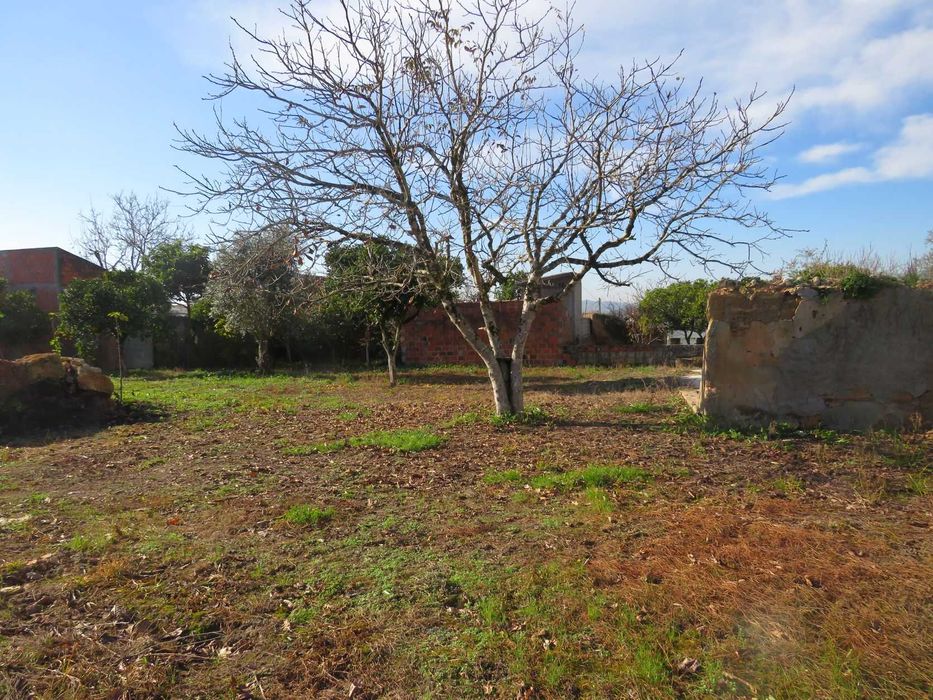 Vendo casa com 90 m2 e terreno contiguo c/ 2000 m2 em Anobra