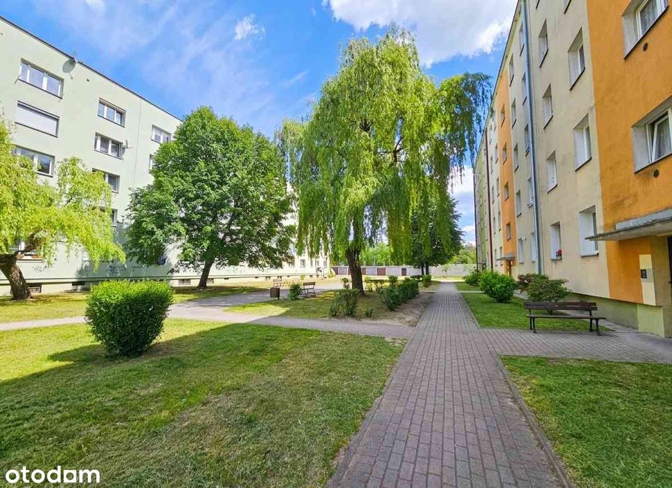 Mieszkanie 2 pokojowe 44m2, ustronnie w Centrum Kędzierzyna