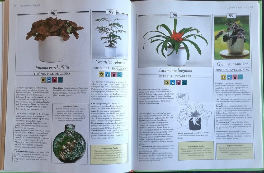 200 Plantas de Interior