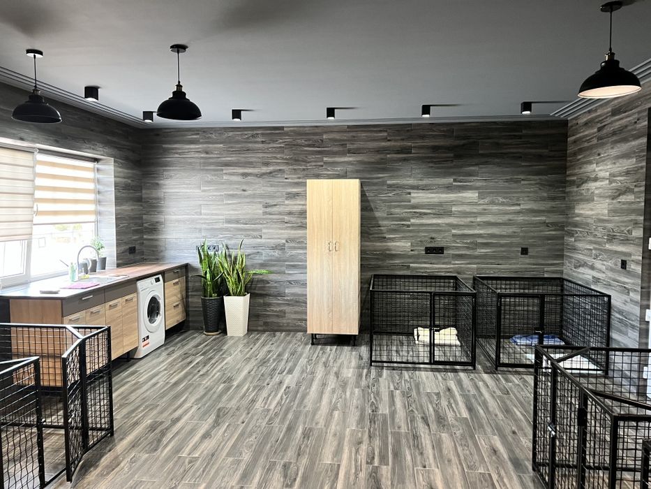 Отель для животных, гостиница для животных, передержка собак, кошек ...