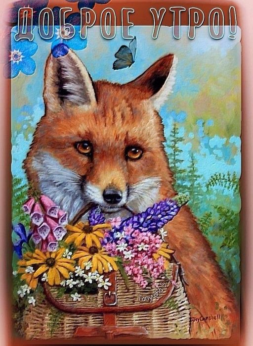 Примем в дар профнастил.