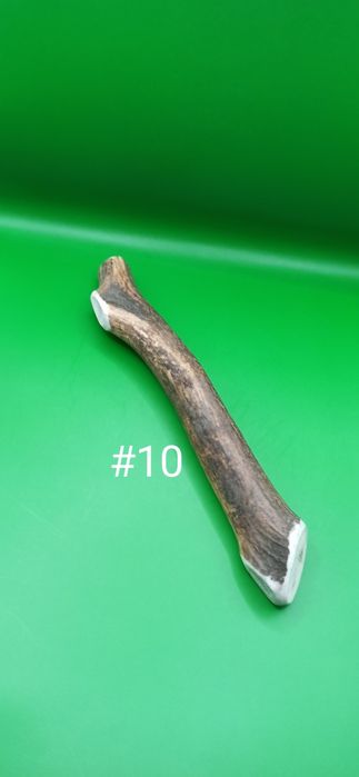 Gryzak z poroża jelenia XXL 28 cm #10