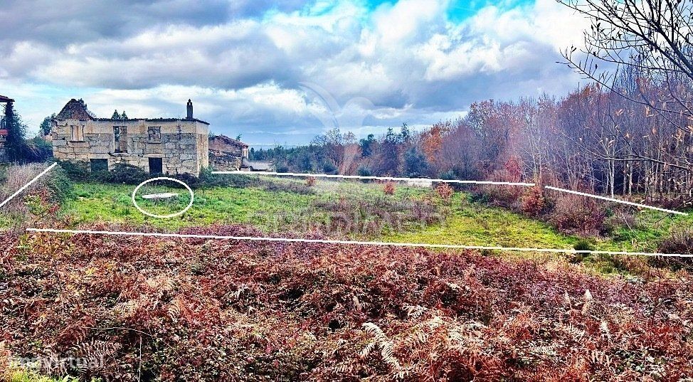 Moradia para Reconstruir + Oferta de 6 Terrenos | Mais de 10.000m²