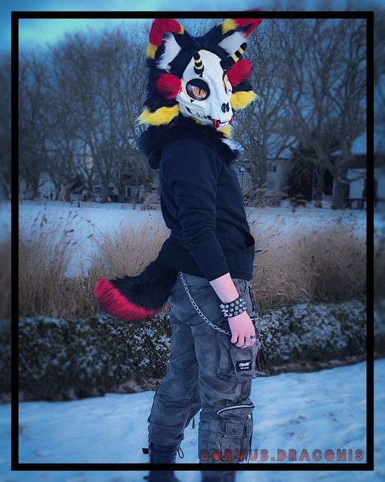 Fursuit skullcat + ogon