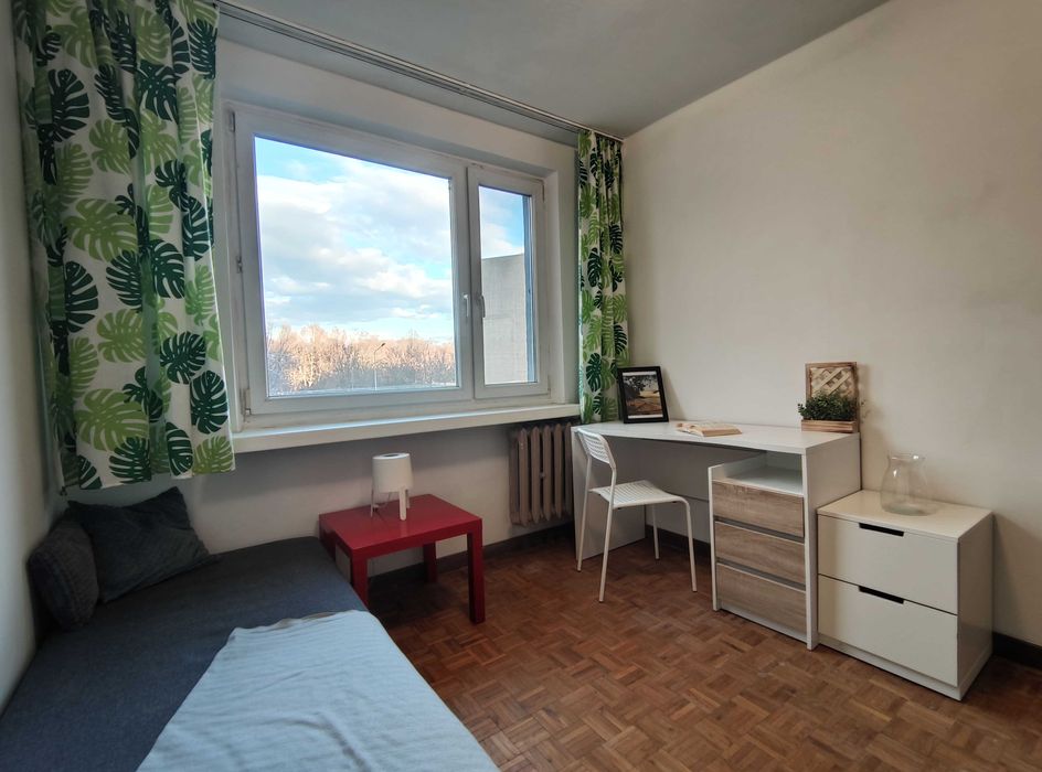 Kozanów pokój wynajem