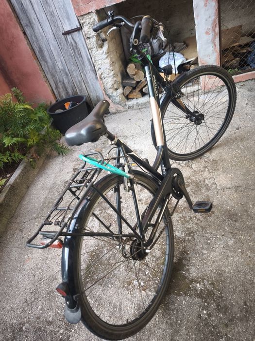 VICTORIA Hoya L6 Trekking