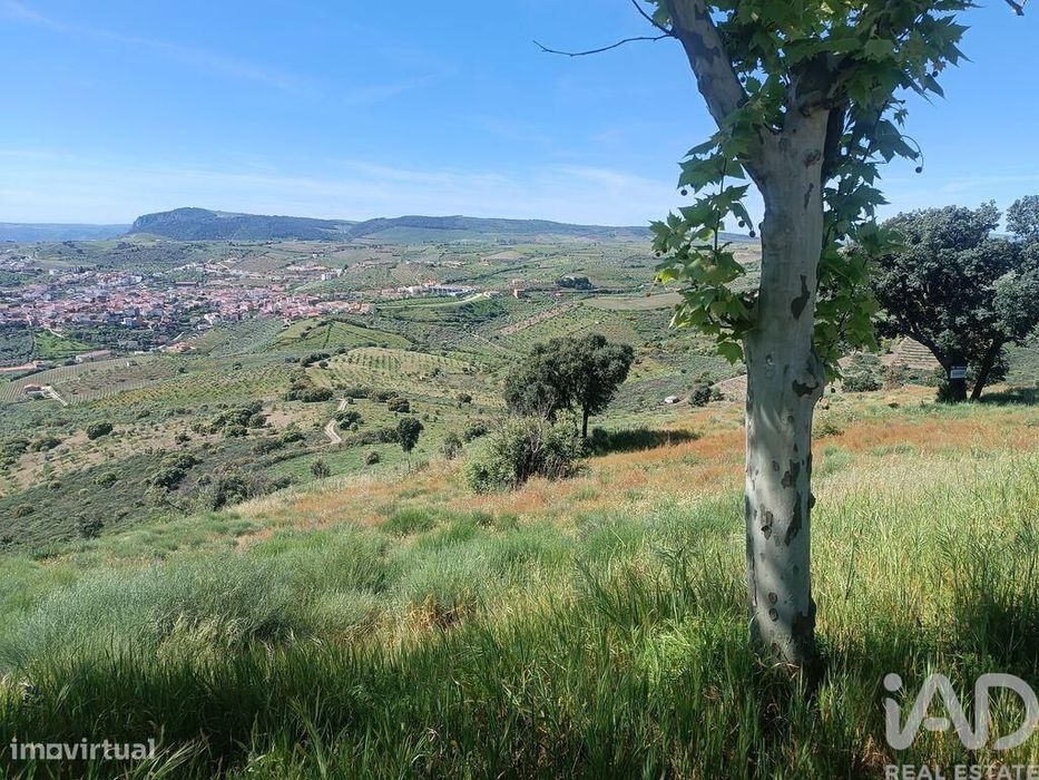 Terreno em Freixo de Espada à Cinta e Mazouco de 49572,00 m2