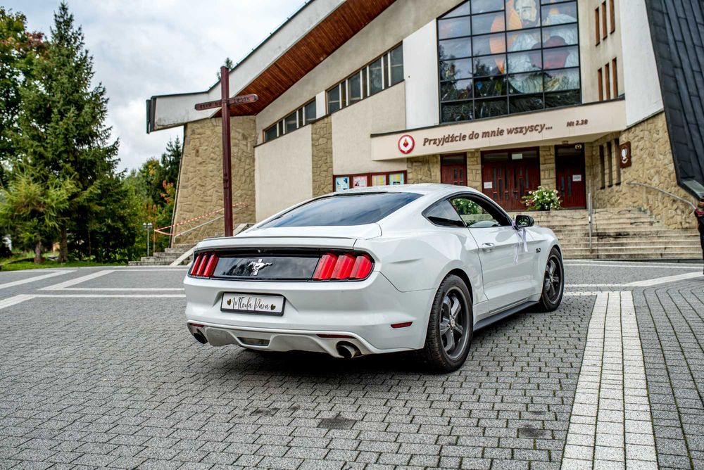 Fotograf urodziny/wesele/komunia/chrzest