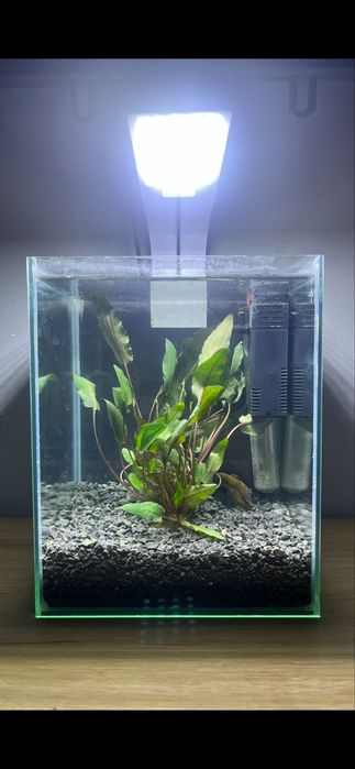 Akwarium kostka 10l stan bdb