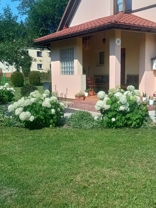 Dom 68 m² z działką – po generalnym remoncie