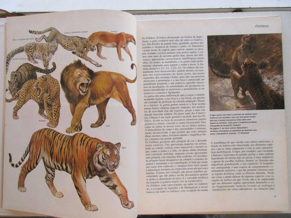 Os Animais - - - - - - - - Enciclopédia