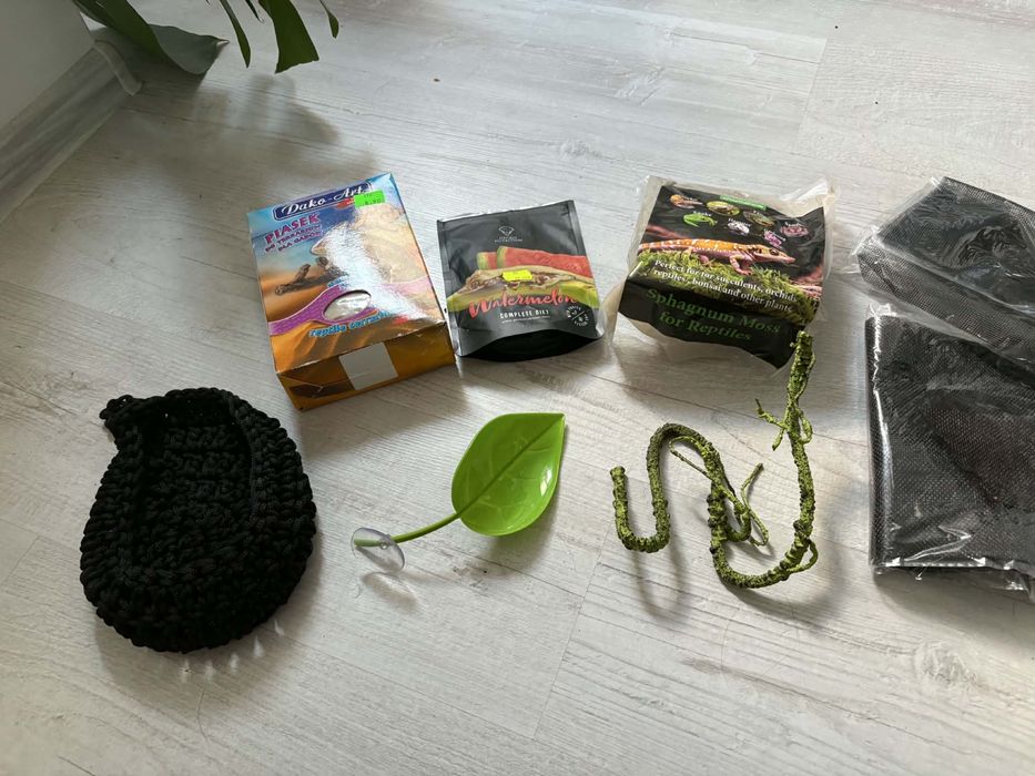 Wyposażone terrarium