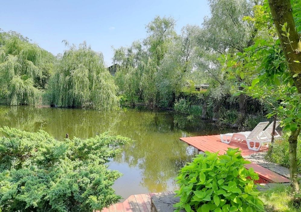 615 Будинок біля Дніпра подобово з озером