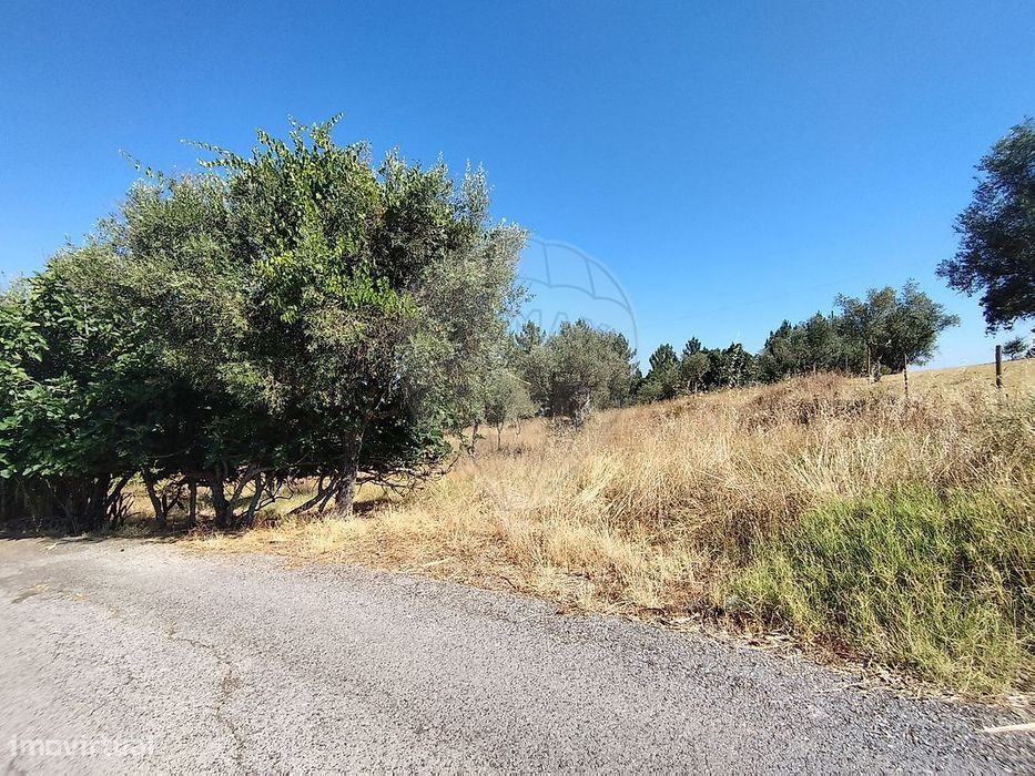Terreno  para venda — Alvega E Concavada, Santarém
