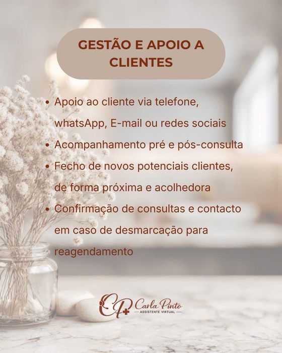 ASSISTENTE VIRTUAL ADMINISTRATIVA E FINANCEIRA489310413348546563