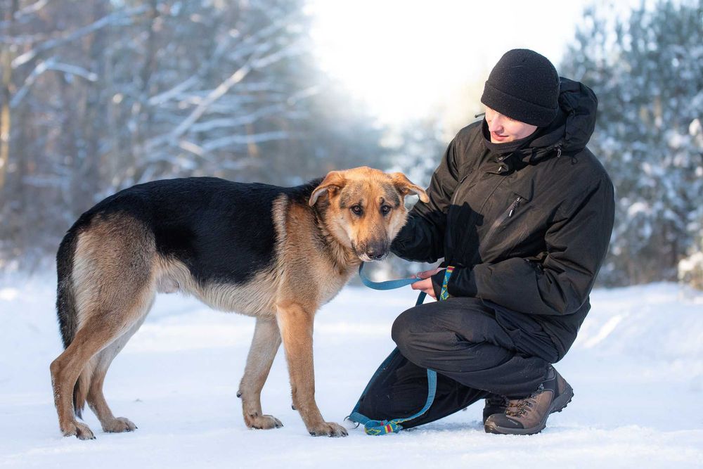 CCAMARO - duży, łagodny, przytulaśny