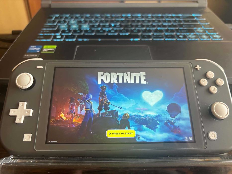 Nintendo switch little