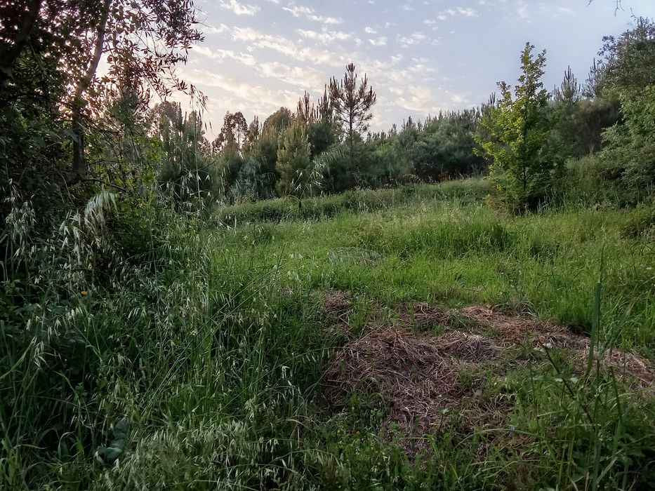 Quinta isolada mas a 2 km de Seia