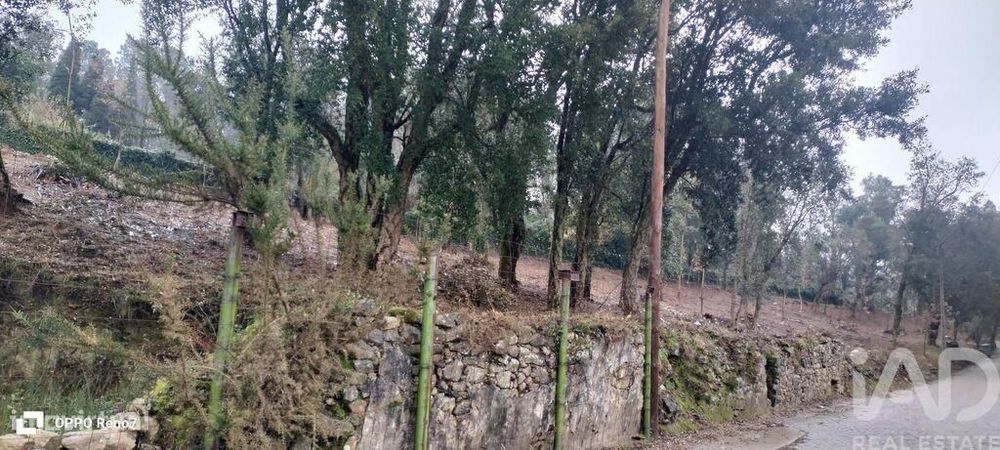 Terreno em Fornelo e Vairão
