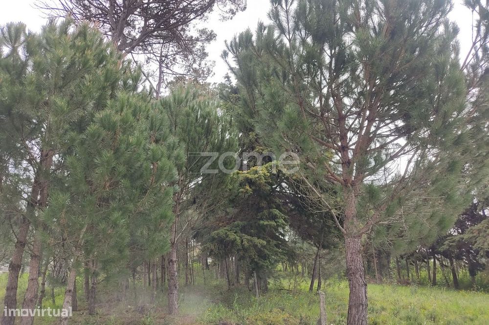 Lote de terreno urbanizável - Venha construir o seu sonho