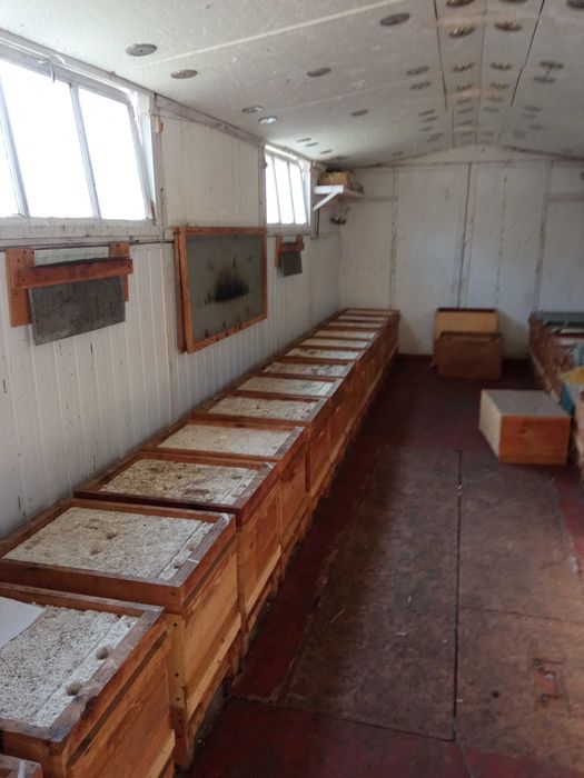 Бджолопавільйон на 30 сімей