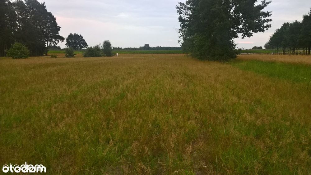 Działka Letniskowa ! Inwestycyjna !!
