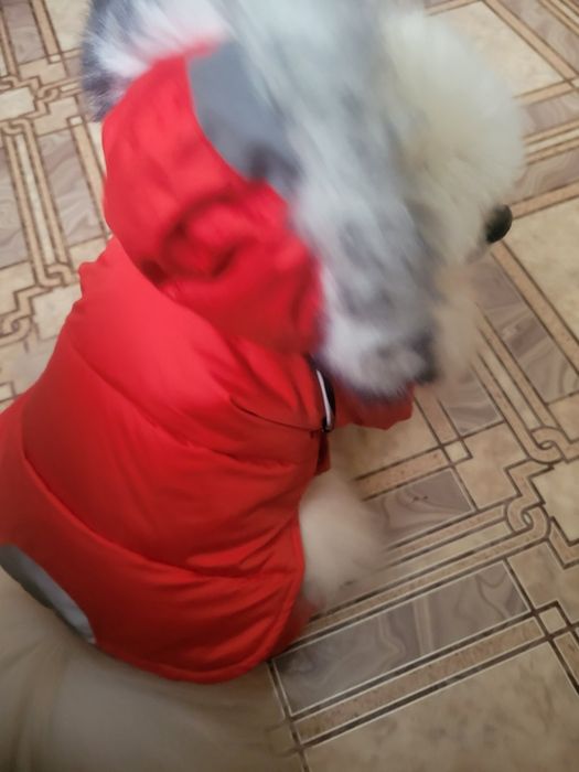 Куртка для собак