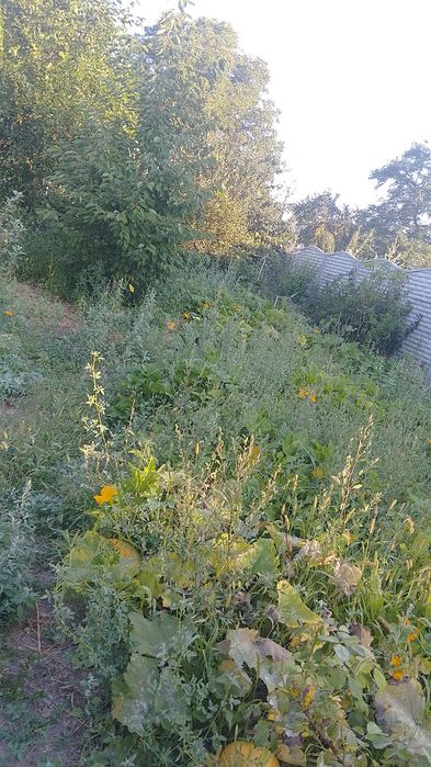 Продам дачу для проживання