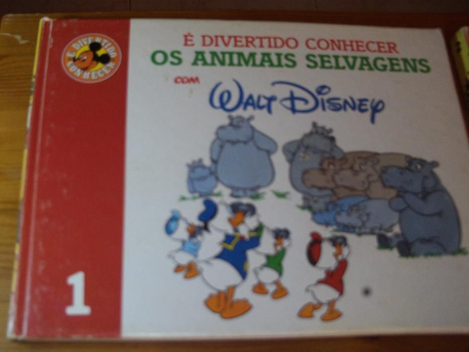 15 livros Walt Disney É divertido conhecer
