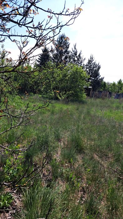 Продаж земельної ділянки в обжитому садовому товаристві