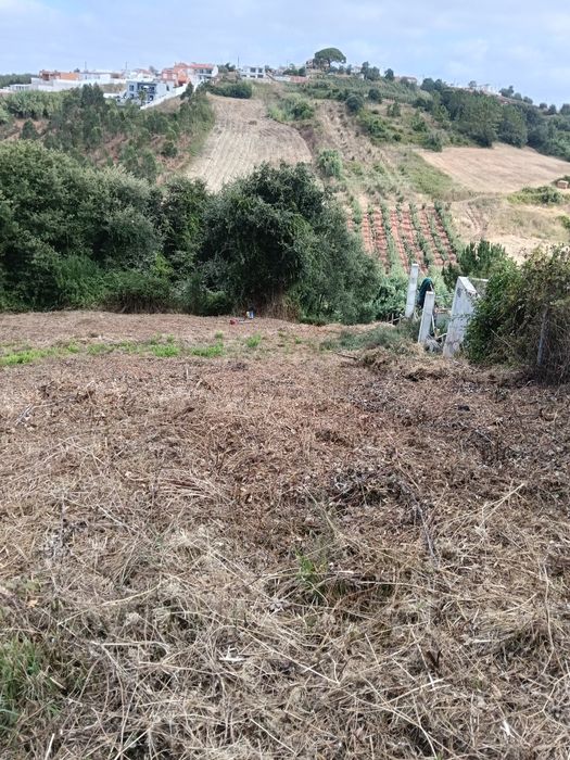 Roço terrenos, pequenos e médios