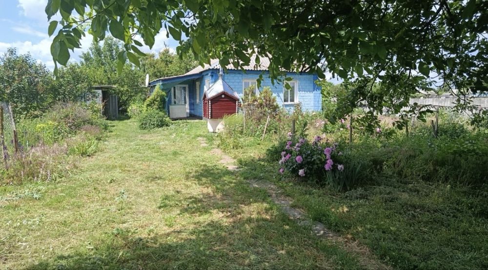 Продам будинок в селі Сигнаївка