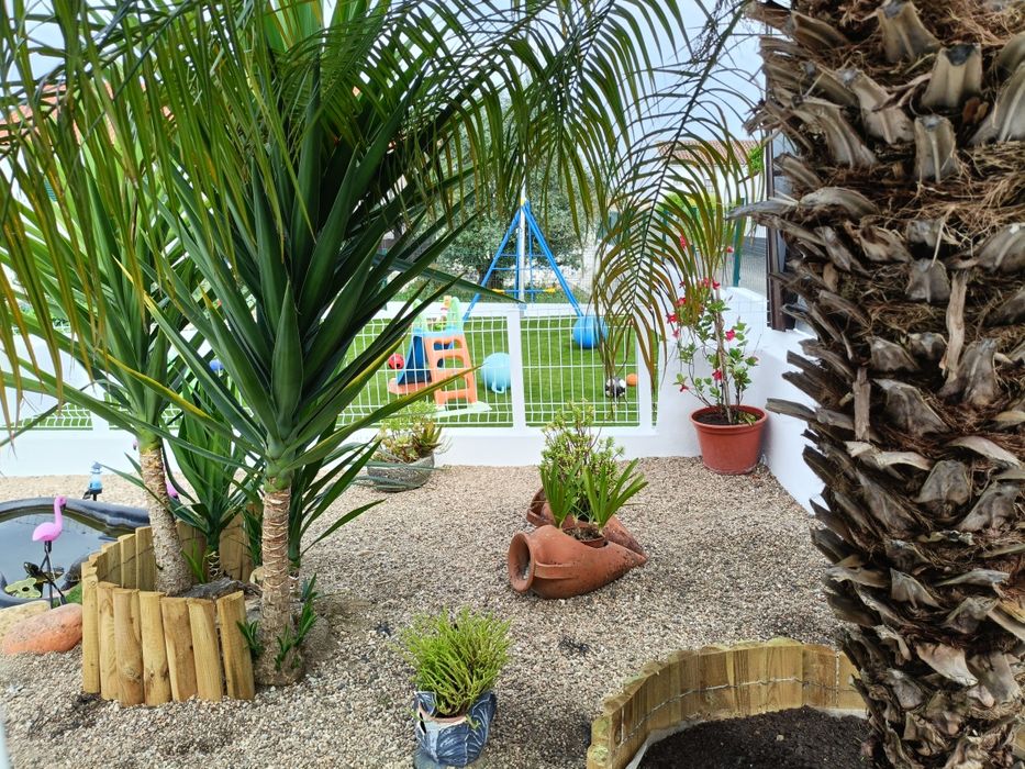 Bolo&Balão Santarém - Moçarria a sua festa começa aqui!