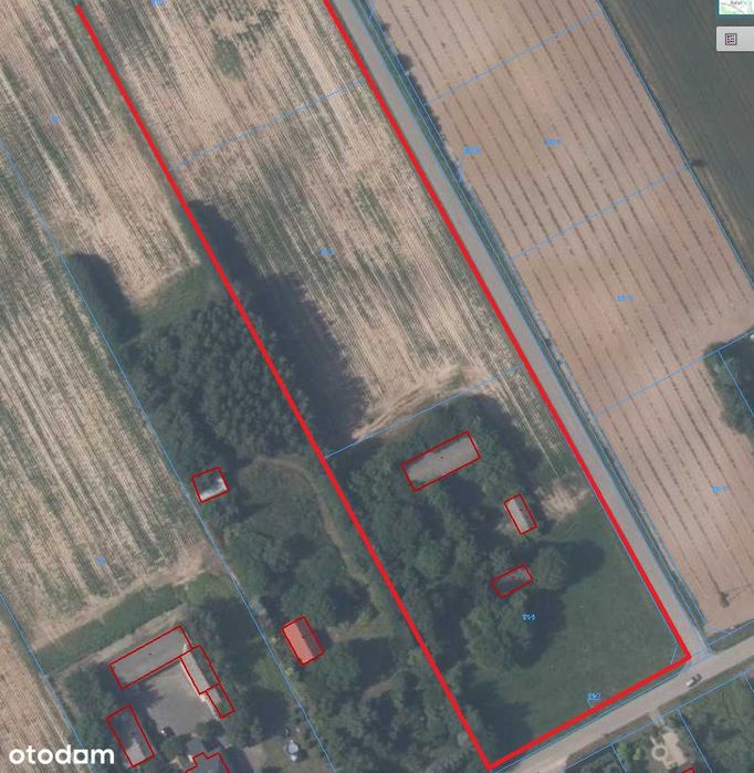 Siedlisko 1.83 Ha | Wz | Media | Asfalt - Motycz (60 Zł/M2)