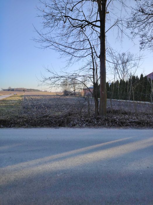 Sprzedam działkę rolno - budowlaną Wola Niechcicka Stara gm. Rozprza