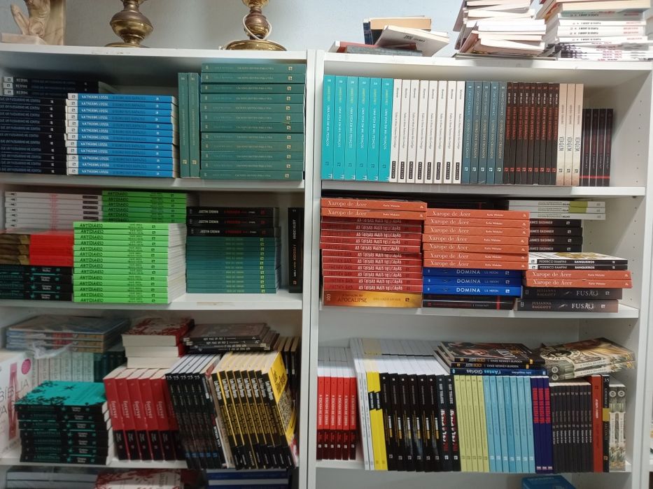 Lote de + de 600 livros novos
